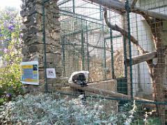 183 D21 SANARY SUR MER 1_000052